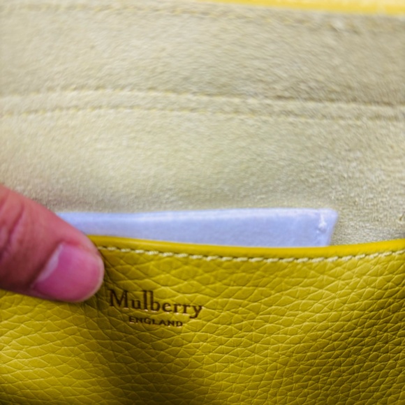 Mulberry Mini Alexa - Meadow Green Heavy Grain - Picture 8 of 10
